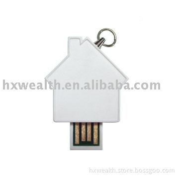 House Shaped USB memory
